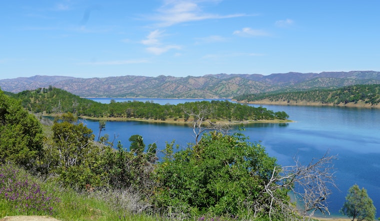 Richmond Man Loses Part of Hand in Boat Propeller Tragedy at Lake Berryessa