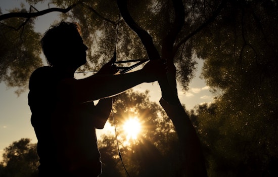 Sacramento Man Savagely Executed His Blindfolded Brother with Crossbow at City Heights Park, Say Guilty Verdict