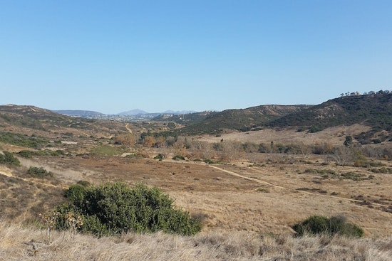 San Diego Man Fined $53k For Trimming Bushes That He Says Pose Fire Risk to His Property