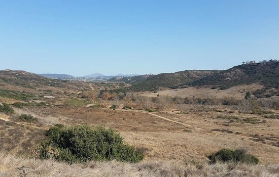 San Diego Man Fined $53k For Trimming Bushes That He Says Pose Fire Risk to His Property