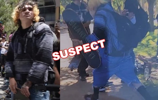 Skateboarders Brutally Beat Innocent Dog Trainer Unconscious in Broad Daylight at San Diego's Balboa Park