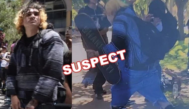 Skateboarders Brutally Beat Innocent Dog Trainer Unconscious in Broad Daylight at San Diego's Balboa Park