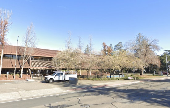 Tragic Fatal Stabbing of Santa Rosa Woman Leads to Husband's Arrest as Suspected Murderer