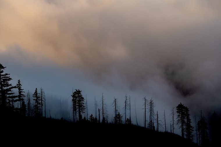 Valley Center Fire Averted As Firefighters Halt Blaze at 8 Acres, Saving Structures