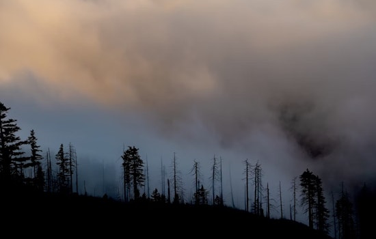 Valley Center Fire Averted As Firefighters Halt Blaze at 8 Acres, Saving Structures
