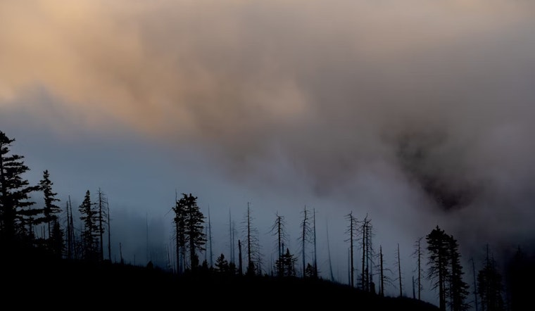Valley Center Fire Averted As Firefighters Halt Blaze at 8 Acres, Saving Structures