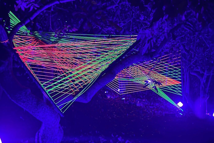 San Diego Botanic Garden's Lightscape Extravaganza Makes A Dazzling