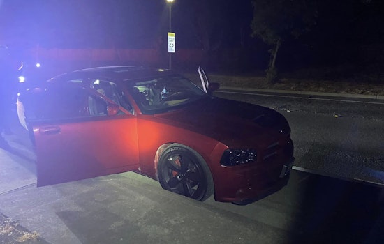 Benicia Residents Call Cops on Dangerous Driver, Discover Loaded Arsenal