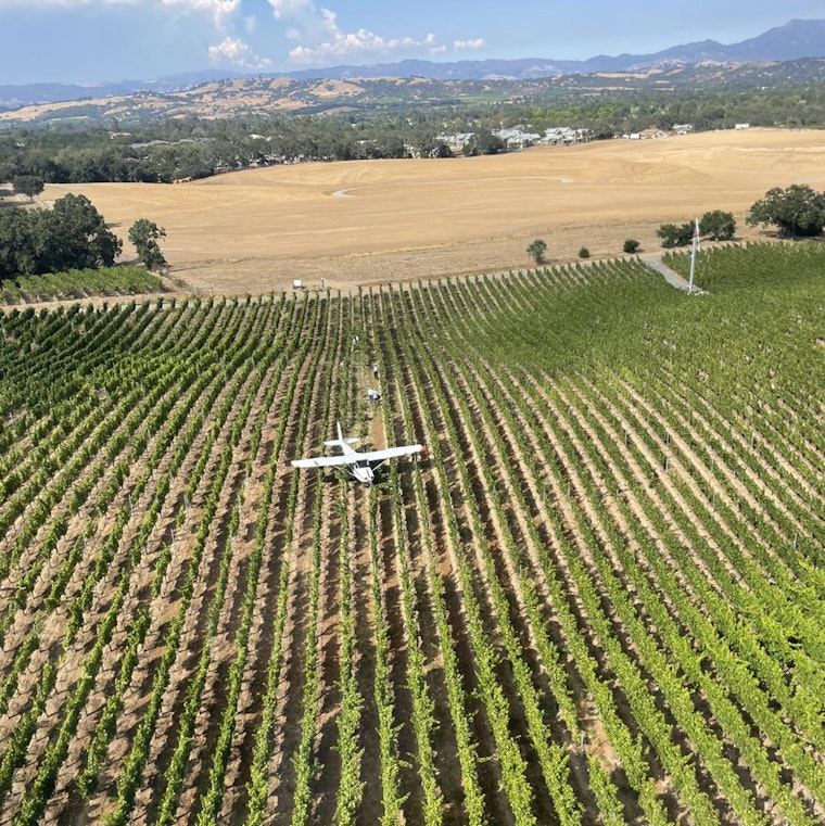 Pilot Escapes Unscathed from a Crash Landing Near Santa Rosa