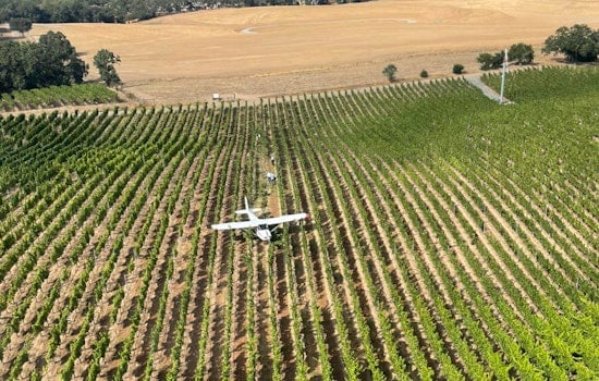 Pilot Escapes Unscathed from a Crash Landing Near Santa Rosa