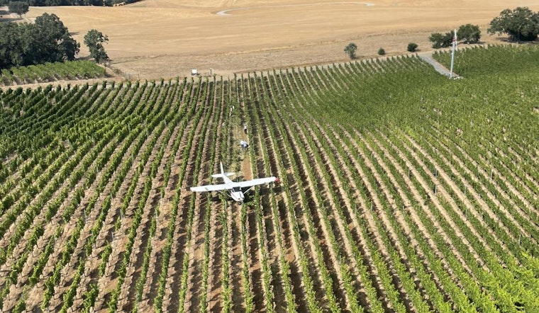Pilot Escapes Unscathed from a Crash Landing Near Santa Rosa