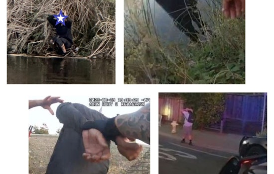 Daring Carjacking and Crime Spree Chaos in Milpitas