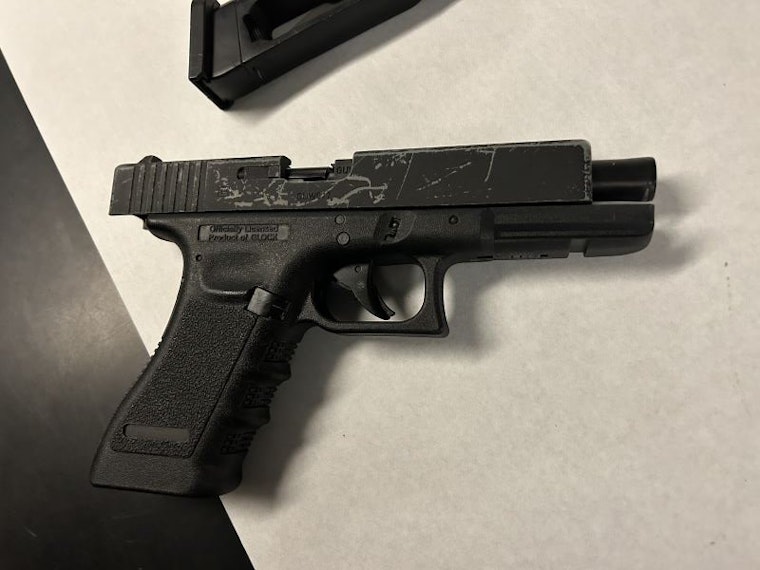 Mountain View Replica Gun Incident Raises Concerns
