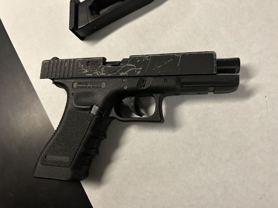 Mountain View Replica Gun Incident Raises Concerns