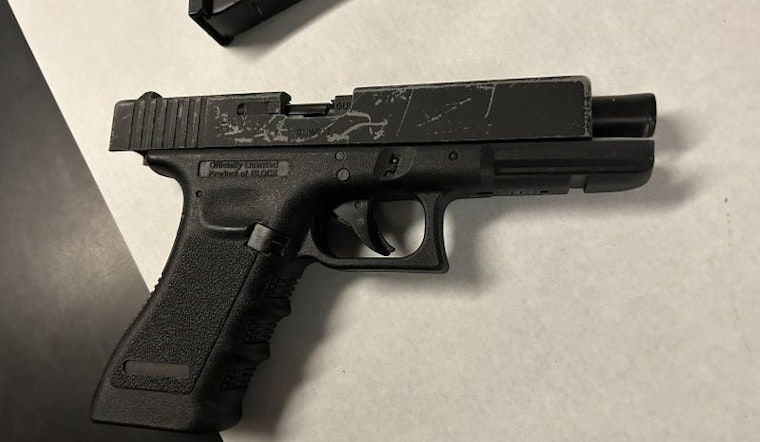 Mountain View Replica Gun Incident Raises Concerns