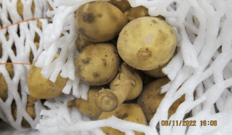 Two San Jose Women Charged for Illegal Fruit-Trade