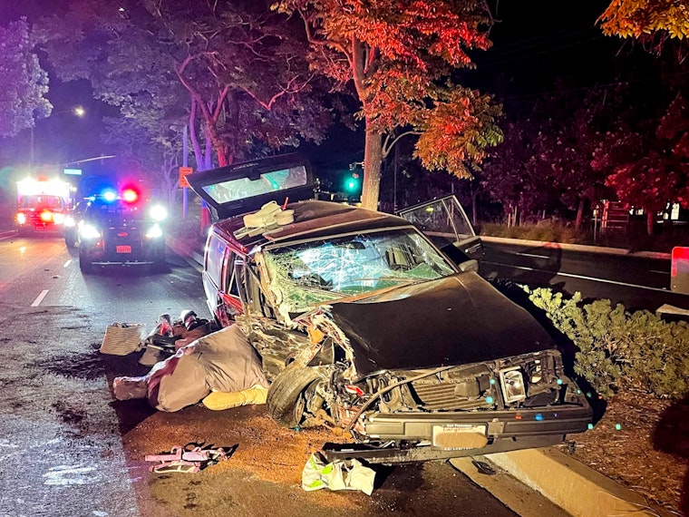 Alleged Drugged Driver Crashes in Pleasanton, Injures Dog, and Faces Animal Abuse Charges