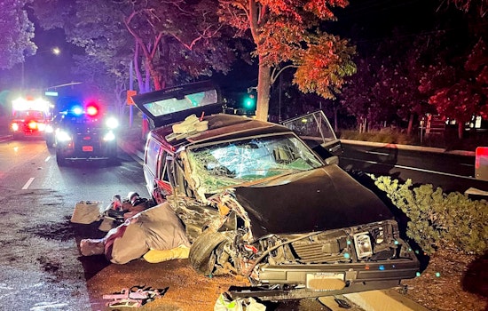 Alleged Drugged Driver Crashes in Pleasanton, Injures Dog, and Faces Animal Abuse Charges