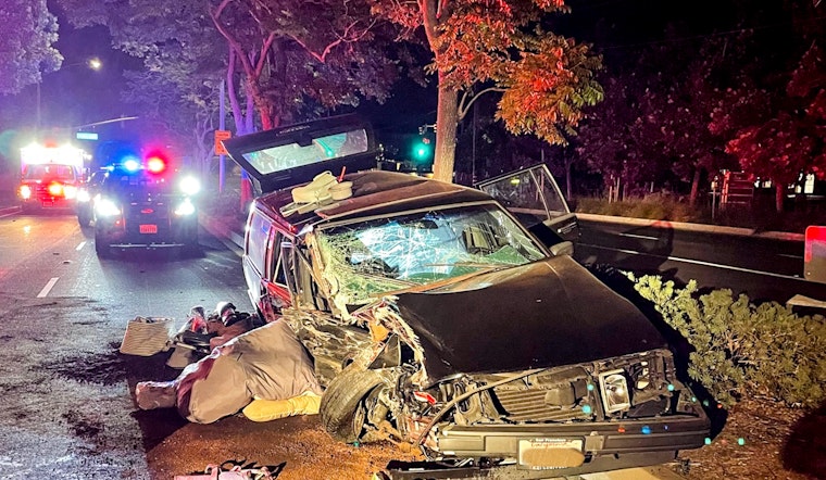 Alleged Drugged Driver Crashes in Pleasanton, Injures Dog, and Faces Animal Abuse Charges