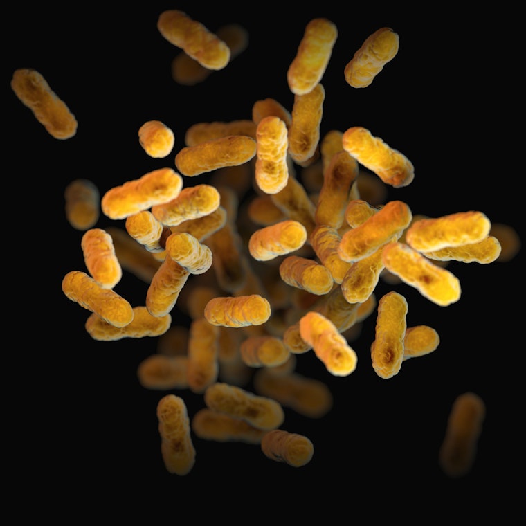 Spa Deaths: Legionnaires' Disease Suspected at Richmond Spa