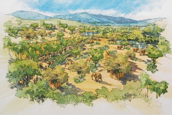 Constructive of Massive Elephant Valley Project Ushers in a New Era at San Diego Zoo Safari Park
