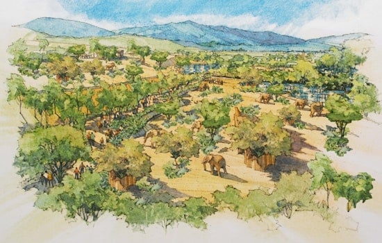 Constructive of Massive Elephant Valley Project Ushers in a New Era at San Diego Zoo Safari Park