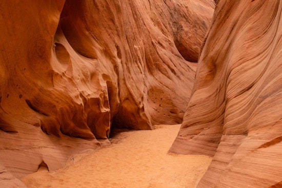 Desert Hike Has Tragic End, as San Diego Man Found Dead on Tucson, AZ Trail Amid Soaring Temperatures