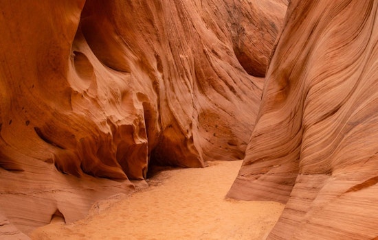 Desert Hike Has Tragic End, as San Diego Man Found Dead on Tucson, AZ Trail Amid Soaring Temperatures