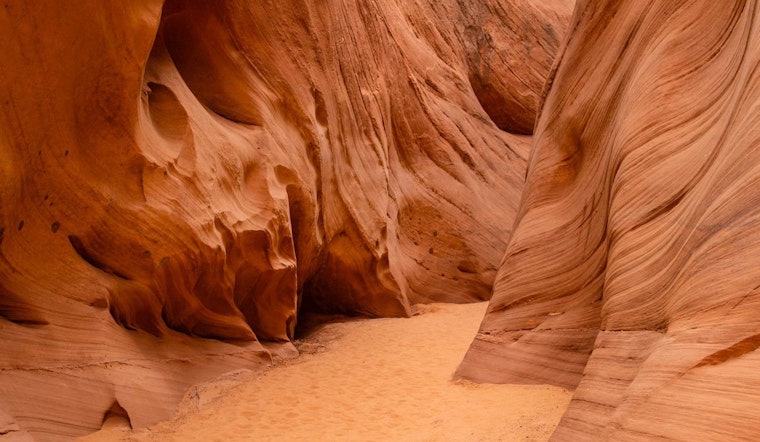 Desert Hike Has Tragic End, as San Diego Man Found Dead on Tucson, AZ Trail Amid Soaring Temperatures