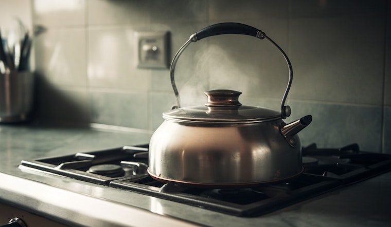 E. Coli Contamination Crisis Averted; 100k in Coronado No Longer Asked to Boil Water