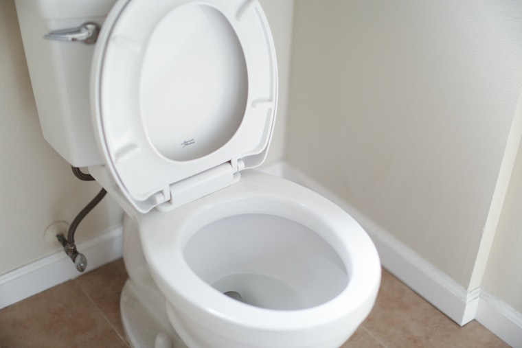 Bay Area's "Toilet to Tap" Solution: How California Aims to Transform Sewage into Drinkable Water
