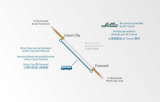 Hazardous Tree Removal Disrupts BART Service, Maintains Safety on Railway