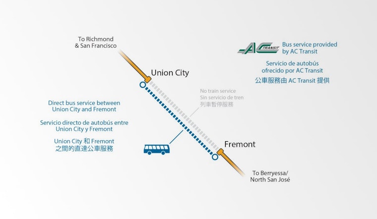 Hazardous Tree Removal Disrupts BART Service, Maintains Safety on Railway