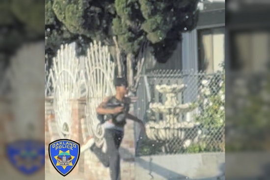 Hit-and-Run Killer Remains at Large in Oakland as Elderly Woman Dies, OPD Seeks Suspect