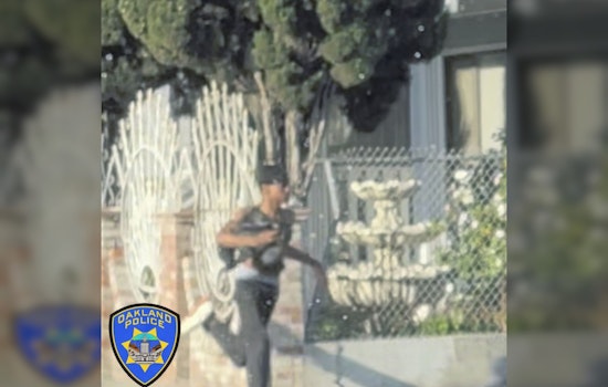 Hit-and-Run Killer Remains at Large in Oakland as Elderly Woman Dies, OPD Seeks Suspect