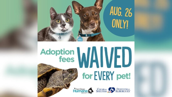 Humane Society of San Diego Announces Free Pet Adoption Event This Saturday