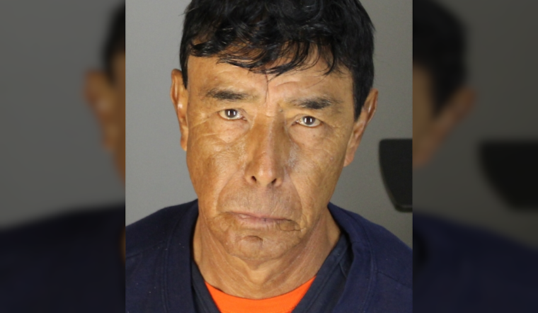 Napa Nightmare: Child Predator Apprehended by County Sheriffs Office