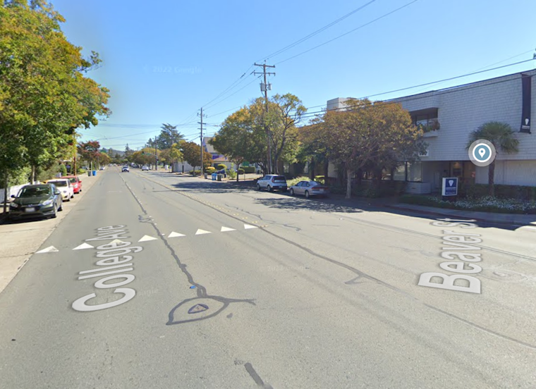 Shocking Arrest in DUI Hit-and-Run of Man and Dog in Santa Rosa as A Man's Life and a Dog's Struggle