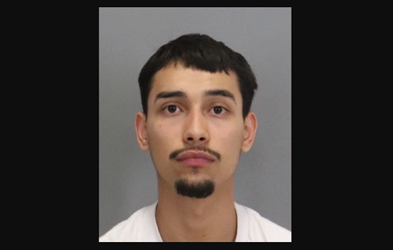 Burglary Spree Ends: Serial Suspect Apprehended in Palo Alto