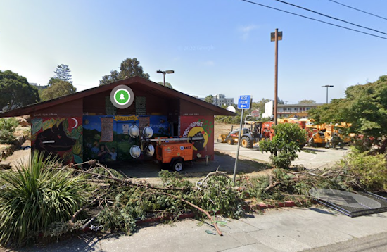 UC Berkeley Faces $4.5 Million People's Park Plant Destruction Lawsuit: The Battle Continues