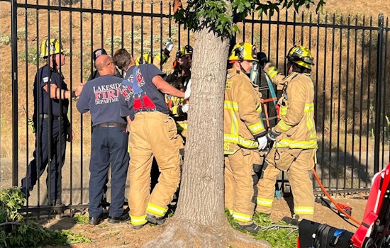 Impaled San Diego Tree Trimmer Falls on Fence Spike in El Cajon; Lakeside Fire Narrowly Saves His Life
