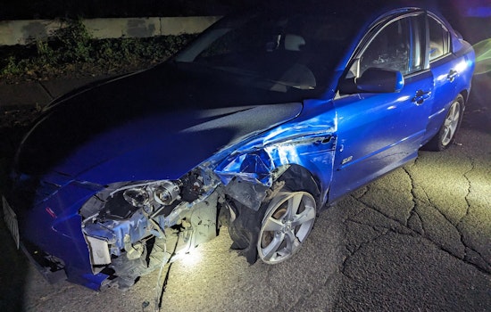 Intoxicated Hit-and-Run Driver Apprehended After Leaving Trails of Destruction