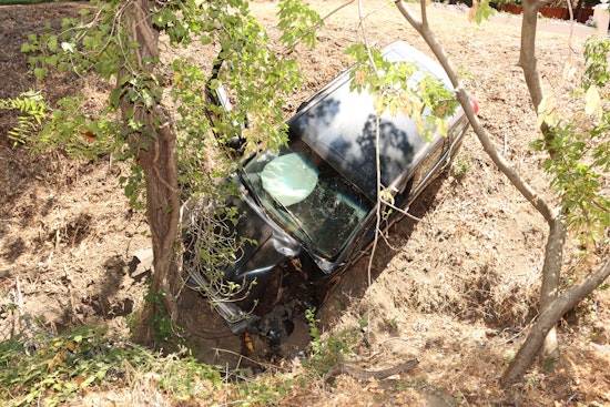 Armed Robbery Pursuit Ends in Crash Near Walnut Creek