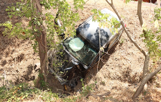 Armed Robbery Pursuit Ends in Crash Near Walnut Creek