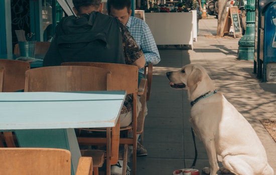 Menlo Park's Outdoor Dining Expansion: A Feast for the Streets or Overcrowded Public Space?