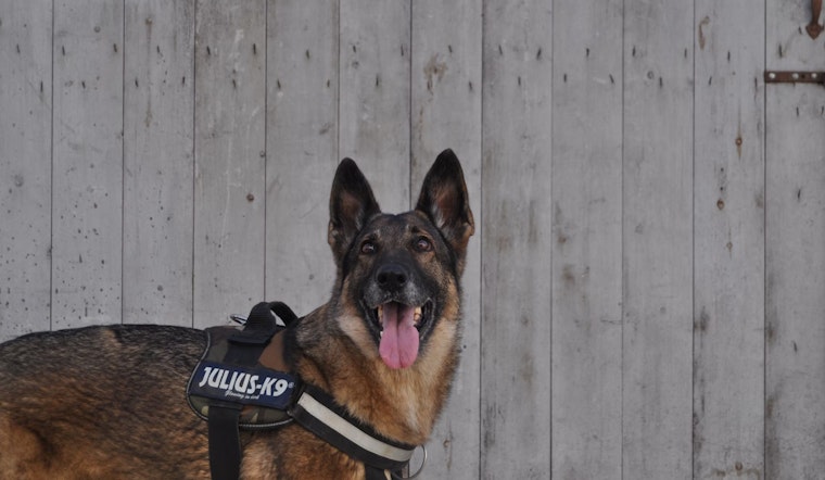 Crazed Man Who Shoots & Kills San Diego Police Dog, Killed by Police in Standoff at Mesa College