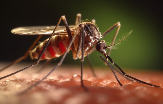 Massachusetts Grapples with First West Nile Virus Cases of 2023