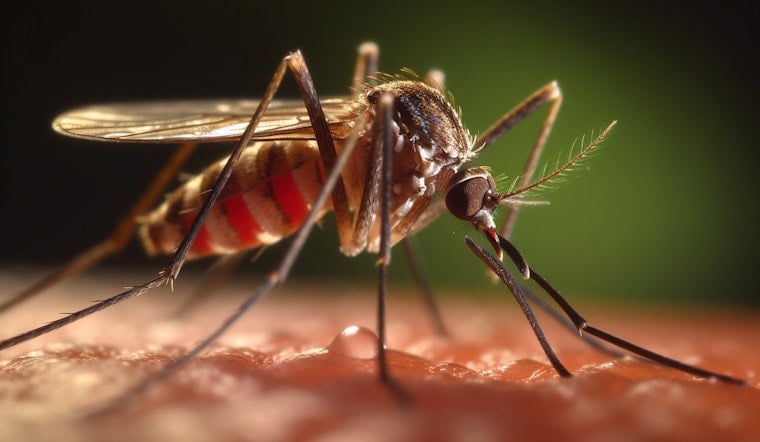 Massachusetts Grapples with First West Nile Virus Cases of 2023