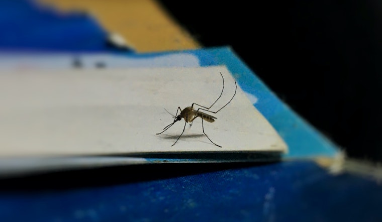 Mosquito Mayhem in Santa Clara County as West Nile Virus Menace Strikes Sunnyvale