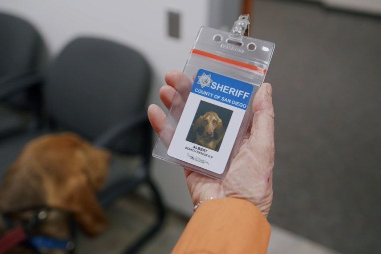 Photos: San Diego Hails New Bloodhound K-9 Hero Amid Grieving Loss of Slain Police Dog Sir